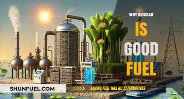 Sustainable Energy Solution: The Benefits of Biochar as a Fuel Source