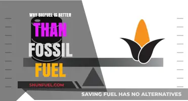 Biofuel vs. Fossil Fuel: Cleaner, Renewable, and Sustainable Energy Choice