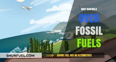 Biofuels vs. Fossil Fuels: Sustainable Energy for a Greener Future