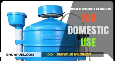 Biogas: The Eco-Friendly, Cost-Effective Domestic Fuel Solution