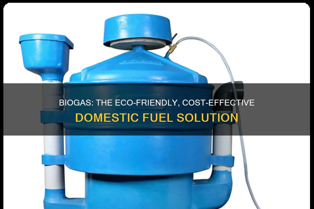 why biogas is considered an ideal fuel for domestic use