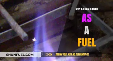 Biogas as Fuel: Sustainable Energy Benefits and Applications Explained