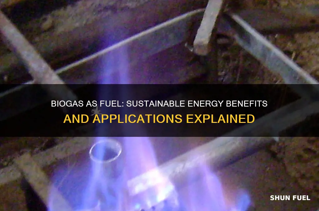 why biogas is used as a fuel