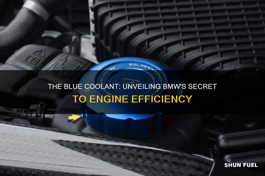 why bmw cars use a blue cooling fuel