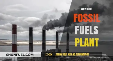Why Nations Still Build Fossil Fuel Plants: Economic and Energy Realities
