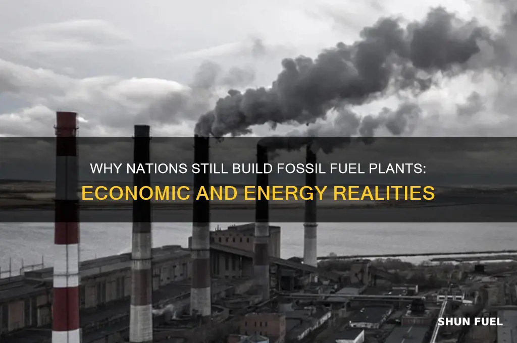 why built fossil fuels plant