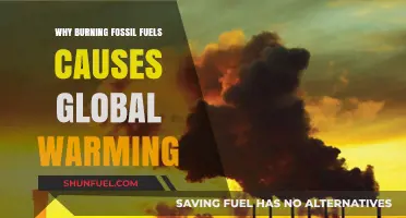 How Burning Fossil Fuels Drives Global Warming: The Science Explained