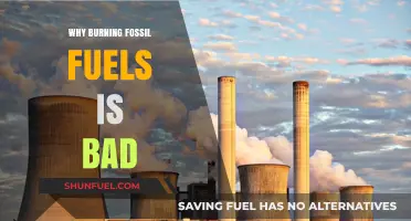 The Devastating Impact of Burning Fossil Fuels on Our Planet