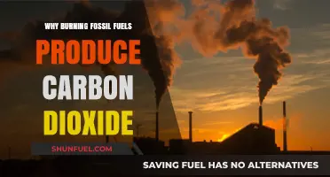 Why Burning Fossil Fuels Releases Carbon Dioxide: A Chemical Breakdown