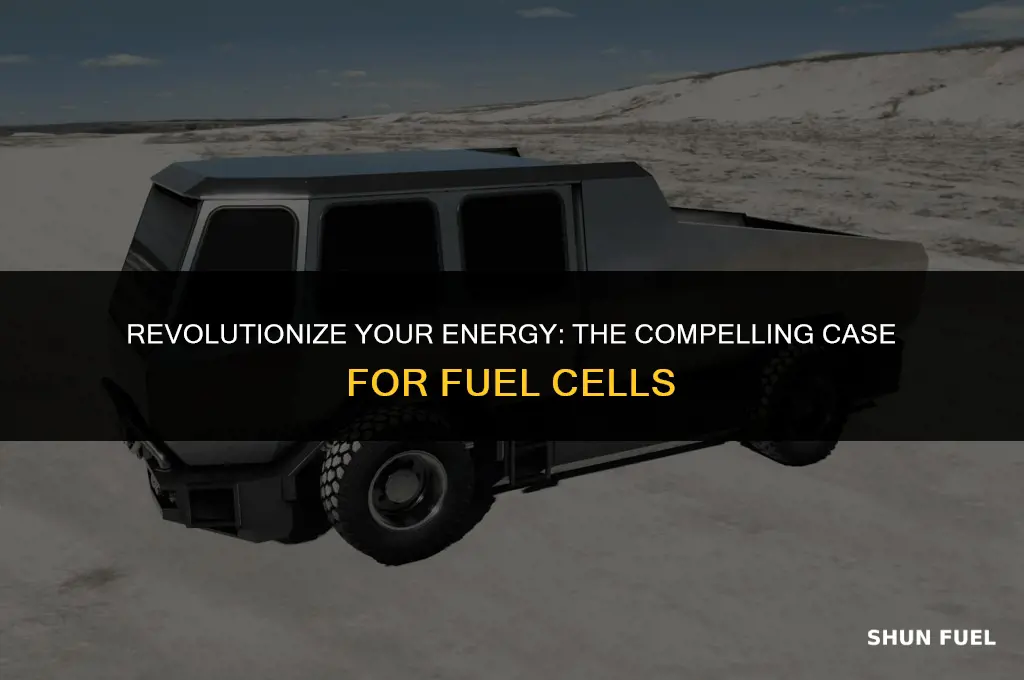 why buy a fuel cell