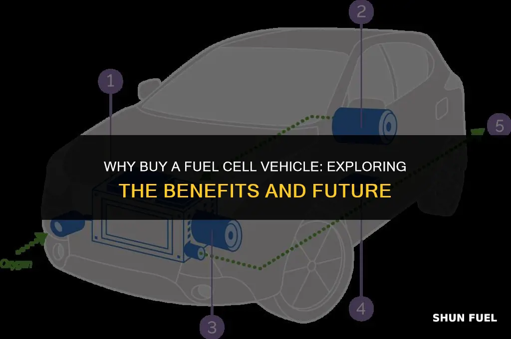 why buy a fuel cl