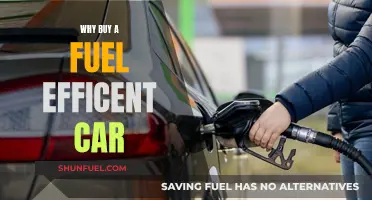 Save Money, Go Green: Why Fuel Efficiency Matters