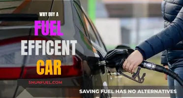 Fuel-Efficient Cars: Save Money, Reduce Emissions