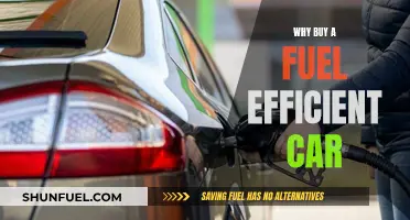 Save Money, Help the Environment: The Benefits of Fuel-Efficient Cars