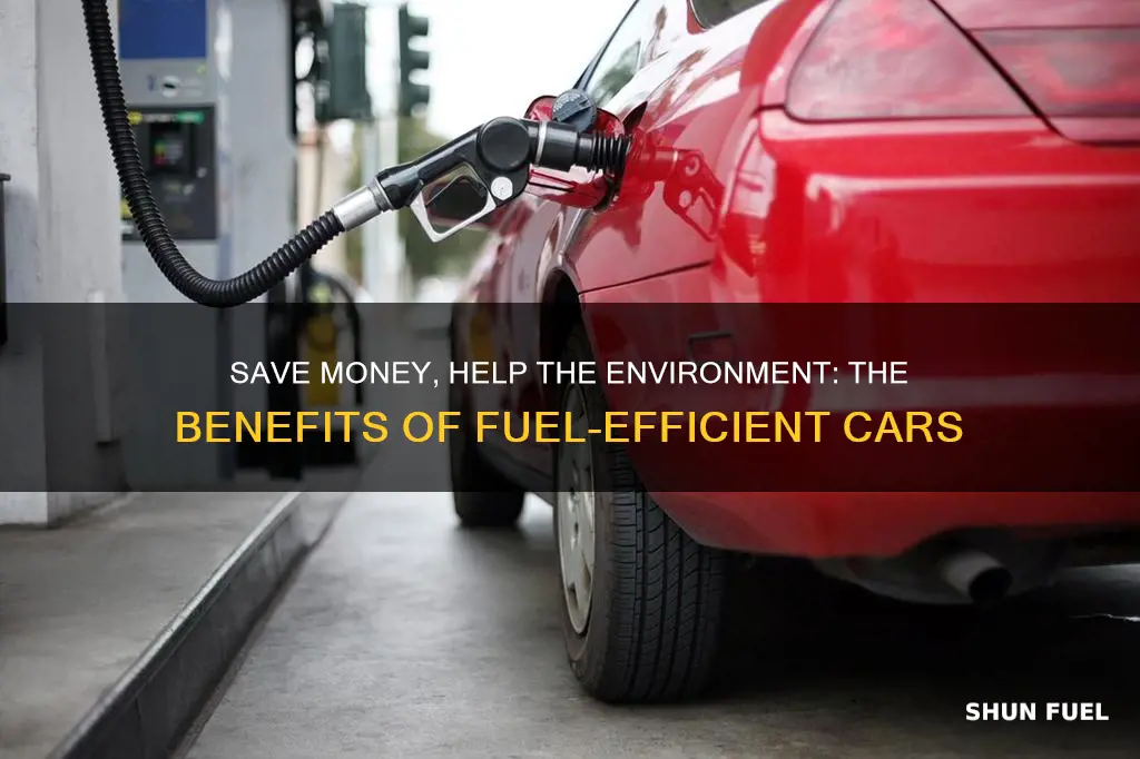 why buy a fuel efficient car