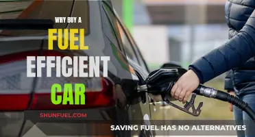 Fuel-Efficient Cars: Save Money, Reduce Emissions