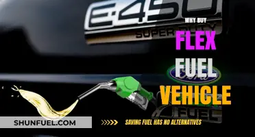 Eco-Friendly and Economical: The Smart Choice of Flex Fuel Vehicles