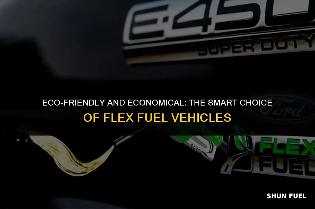 why buy flex fuel vehicle