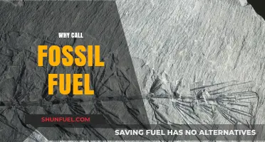 Why We Call It Fossil Fuel: Origins and Environmental Impact