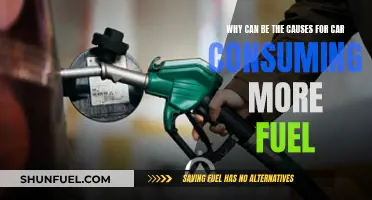 Fuel Efficiency: Car Factors Affecting Consumption