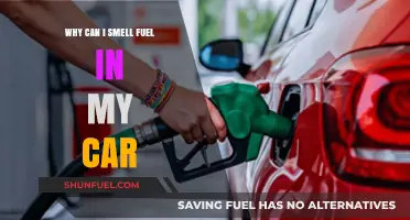 Why Can I Smell Fuel in My Car? Causes and Fixes