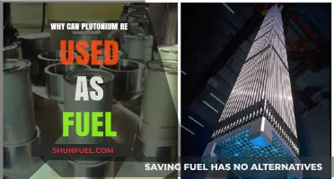 Why Plutonium is a Viable Nuclear Fuel Source