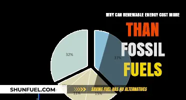 Why Renewable Energy Costs More Than Fossil Fuels: Unraveling the Economics
