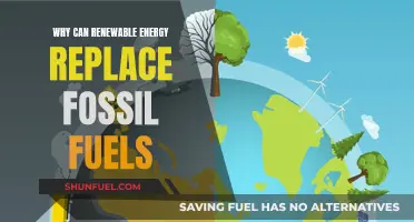 Renewable Energy: A Sustainable, Viable Fossil Fuel Alternative