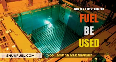Why Spent Nuclear Fuel Remains Untapped: Challenges and Limitations