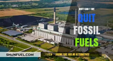 The Stubborn Grip: Why Fossil Fuels Persist Despite Climate Crisis