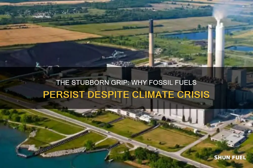 why can t we quit fossil fuels