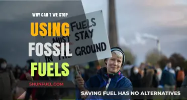 Breaking the Fossil Fuel Habit: Barriers to a Sustainable Future