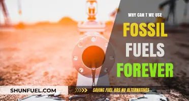 The Finite Future: Why Fossil Fuels Can't Last Forever