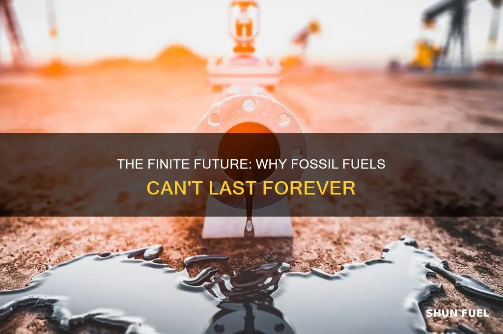 why can t we use fossil fuels forever