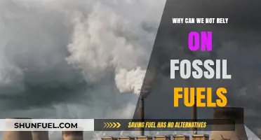 The Unsustainable Truth: Why Fossil Fuels Are Not Our Future