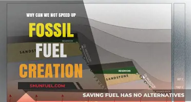 Why Fossil Fuel Creation Can't Be Accelerated: Unraveling the Natural Process