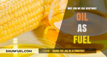 Vegetable Oil as Fuel: A Sustainable Alternative to Fossil Fuels