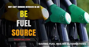 Why Burning Nitrogen in Air Fails as a Fuel Source