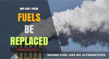 The Unreplaceable Reality: Why Fossil Fuels Remain Essential Today