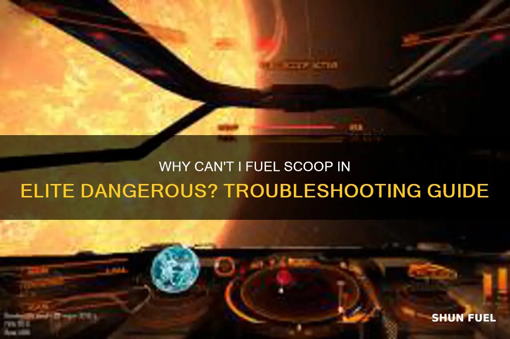 why can