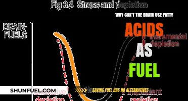 Why Can't the Brain Use Fatty Acids as Fuel?