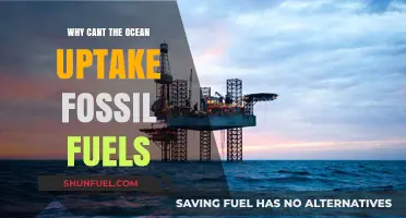 Why Oceans Can't Absorb Fossil Fuels: A Critical Environmental Barrier