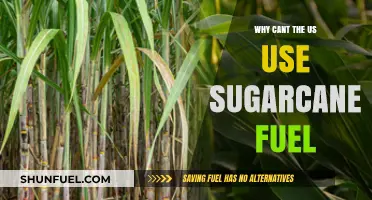 Why Sugarcane Fuel Remains Elusive for the U.S. Energy Sector