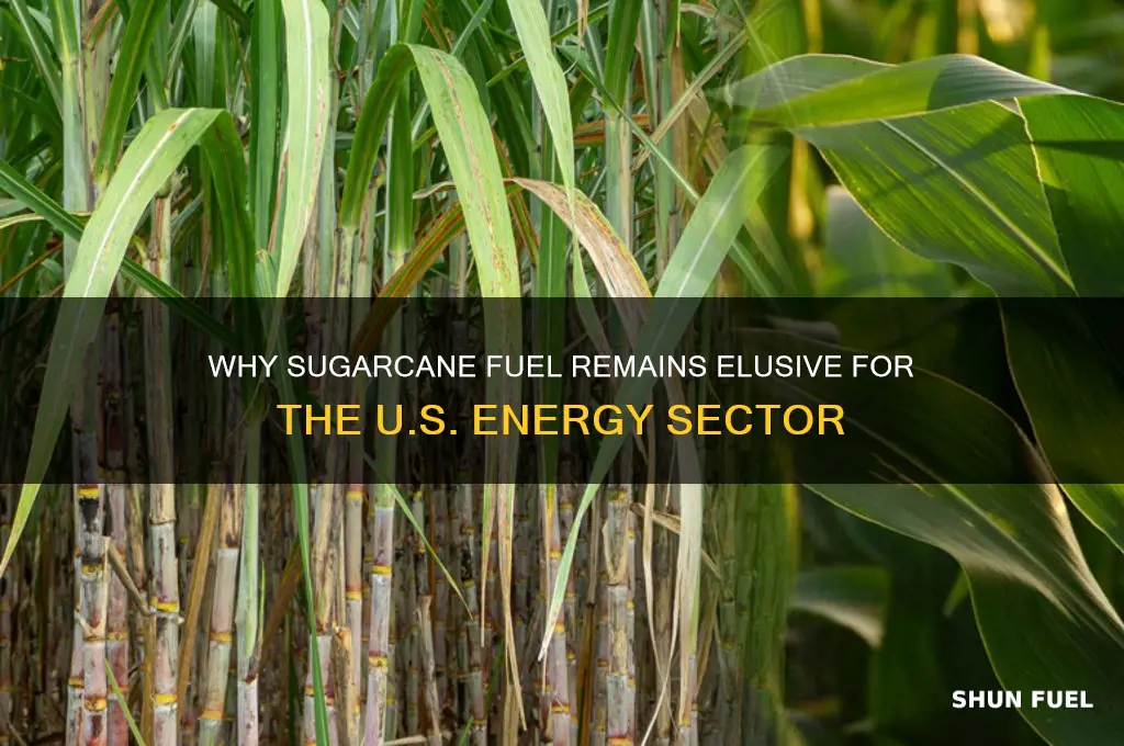 why cant the us use sugarcane fuel