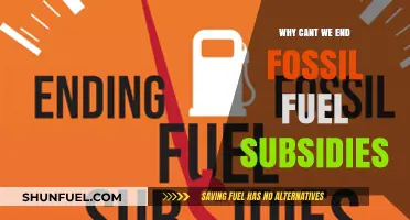 Ending Fossil Fuel Subsidies: The Stubborn Barriers to a Sustainable Future