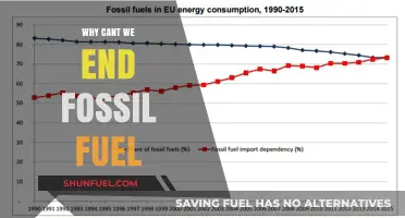 Why Ending Fossil Fuels Remains an Elusive Global Challenge