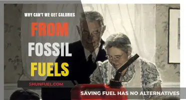 Why Fossil Fuels Can't Fuel Our Bodies: Caloric Limitations Explained