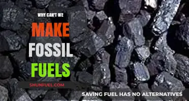 The Unrenewable Truth: Why Fossil Fuels Can't Be Manufactured