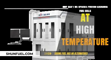 High-Temperature Challenges for Proton-Exchange Fuel Cells: Limitations Explained