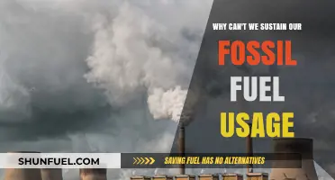 Fossil Fuels' Unsustainable Future: Environmental, Economic, and Energy Challenges